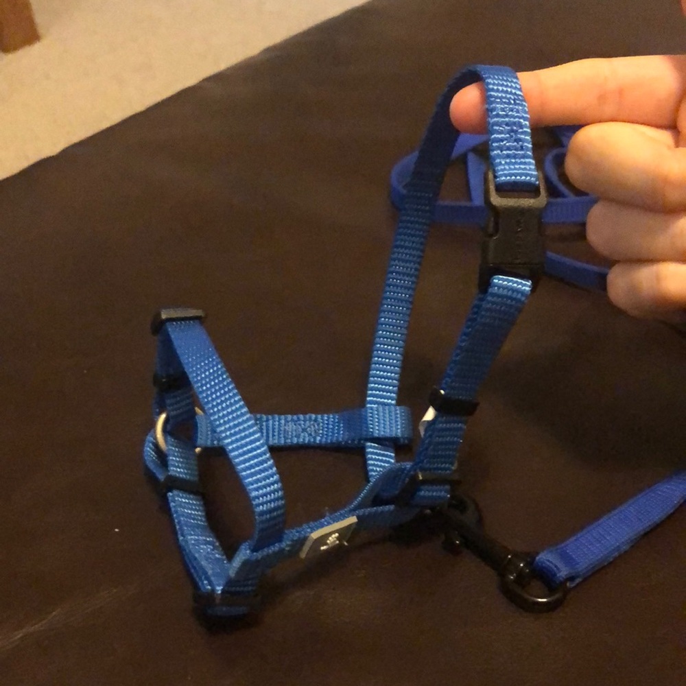 TopPaw Blue Cat Harness and Leash
